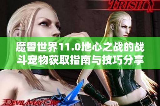 魔兽世界11.0地心之战的战斗宠物获取指南与技巧分享