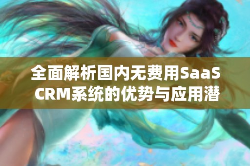 全面解析国内无费用SaaS CRM系统的优势与应用潜力