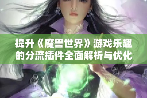 提升《魔兽世界》游戏乐趣的分流插件全面解析与优化技巧