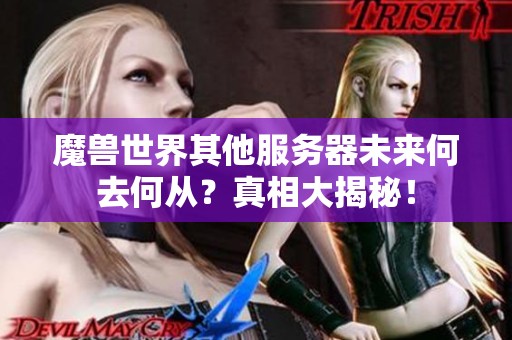 魔兽世界其他服务器未来何去何从？真相大揭秘！