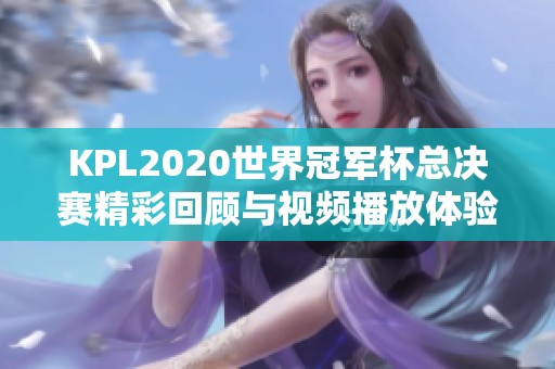 KPL2020世界冠军杯总决赛精彩回顾与视频播放体验