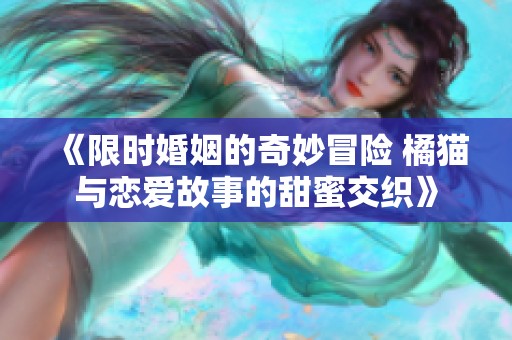 《限时婚姻的奇妙冒险 橘猫与恋爱故事的甜蜜交织》