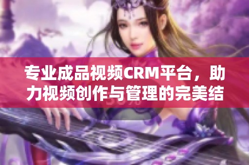 专业成品视频CRM平台，助力视频创作与管理的完美结合