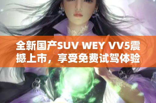 全新国产SUV WEY VV5震撼上市，享受免费试驾体验