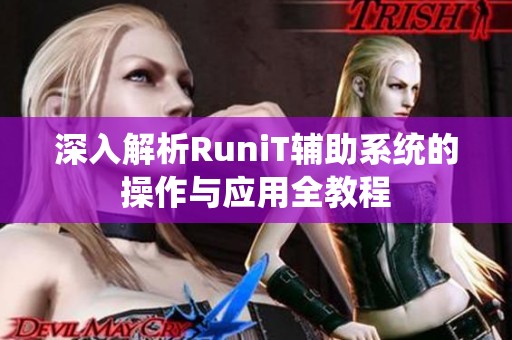 深入解析RuniT辅助系统的操作与应用全教程