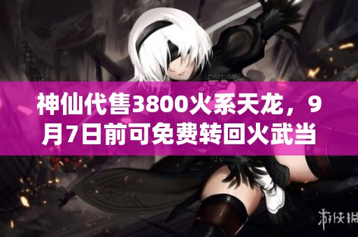 神仙代售3800火系天龙，9月7日前可免费转回火武当