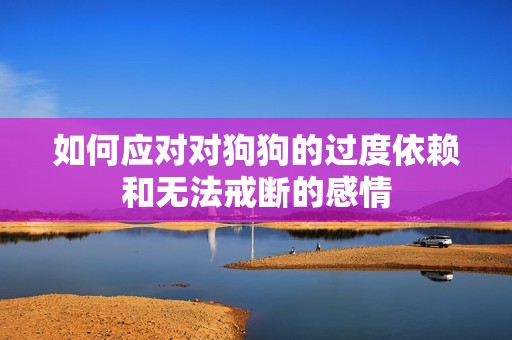 如何应对对狗狗的过度依赖和无法戒断的感情