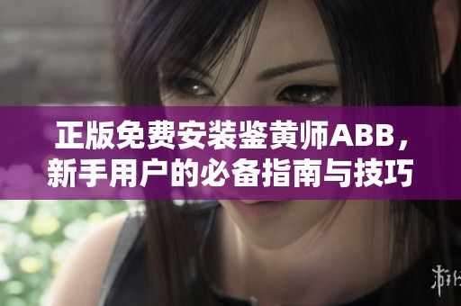 正版免费安装鉴黄师ABB，新手用户的必备指南与技巧分享