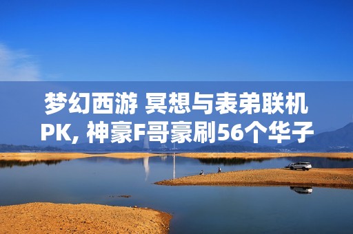 梦幻西游 冥想与表弟联机PK, 神豪F哥豪刷56个华子引热议