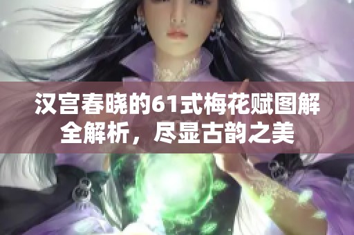 汉宫春晓的61式梅花赋图解全解析，尽显古韵之美