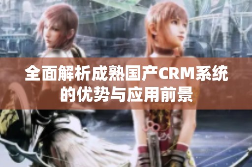 全面解析成熟国产CRM系统的优势与应用前景