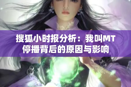 搜狐小时报分析：我叫MT停播背后的原因与影响