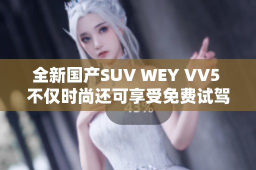 全新国产SUV WEY VV5 不仅时尚还可享受免费试驾优惠