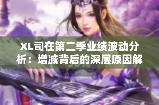 XL司在第二季业绩波动分析：增减背后的深层原因解析