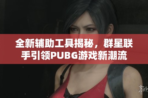 全新辅助工具揭秘，群星联手引领PUBG游戏新潮流