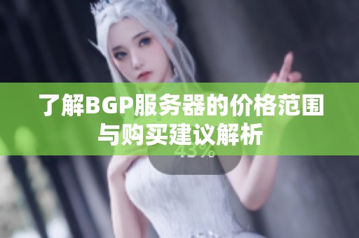 了解BGP服务器的价格范围与购买建议解析