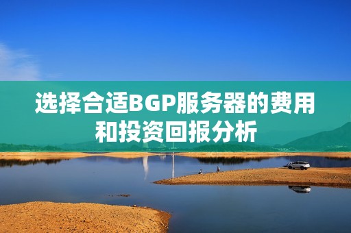 选择合适BGP服务器的费用和投资回报分析