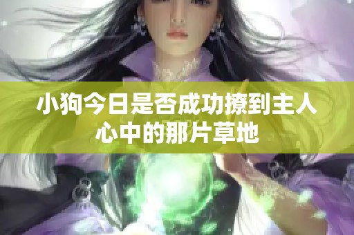 小狗今日是否成功撩到主人心中的那片草地