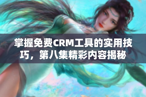 掌握免费CRM工具的实用技巧，第八集精彩内容揭秘