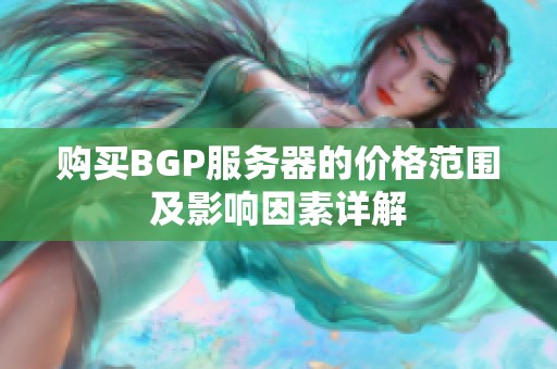 购买BGP服务器的价格范围及影响因素详解