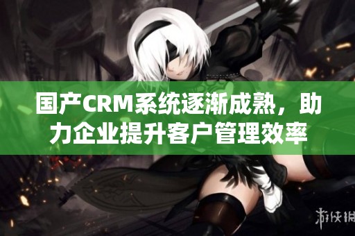 国产CRM系统逐渐成熟，助力企业提升客户管理效率