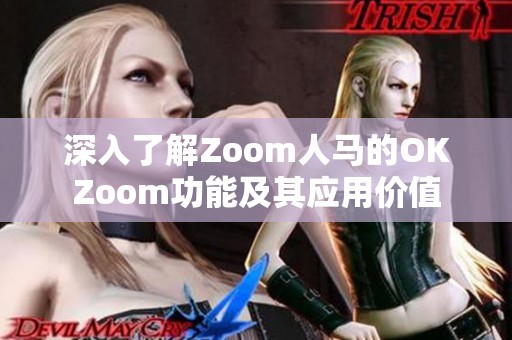 深入了解Zoom人马的OKZoom功能及其应用价值