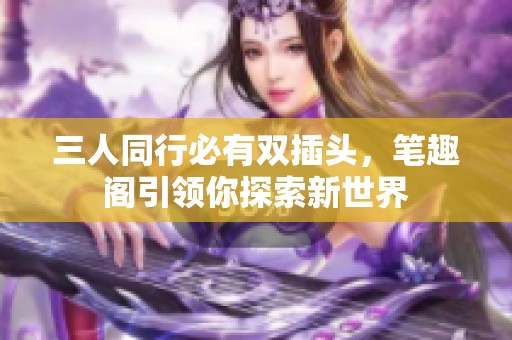 三人同行必有双插头，笔趣阁引领你探索新世界