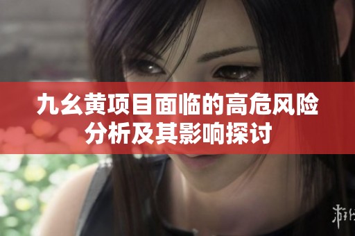 九幺黄项目面临的高危风险分析及其影响探讨