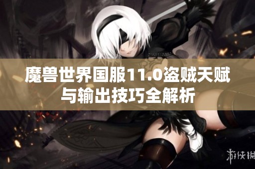 魔兽世界国服11.0盗贼天赋与输出技巧全解析