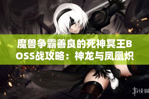 魔兽争霸善良的死神冥王BOSS战攻略：神龙与凤凰炽玄装备解析